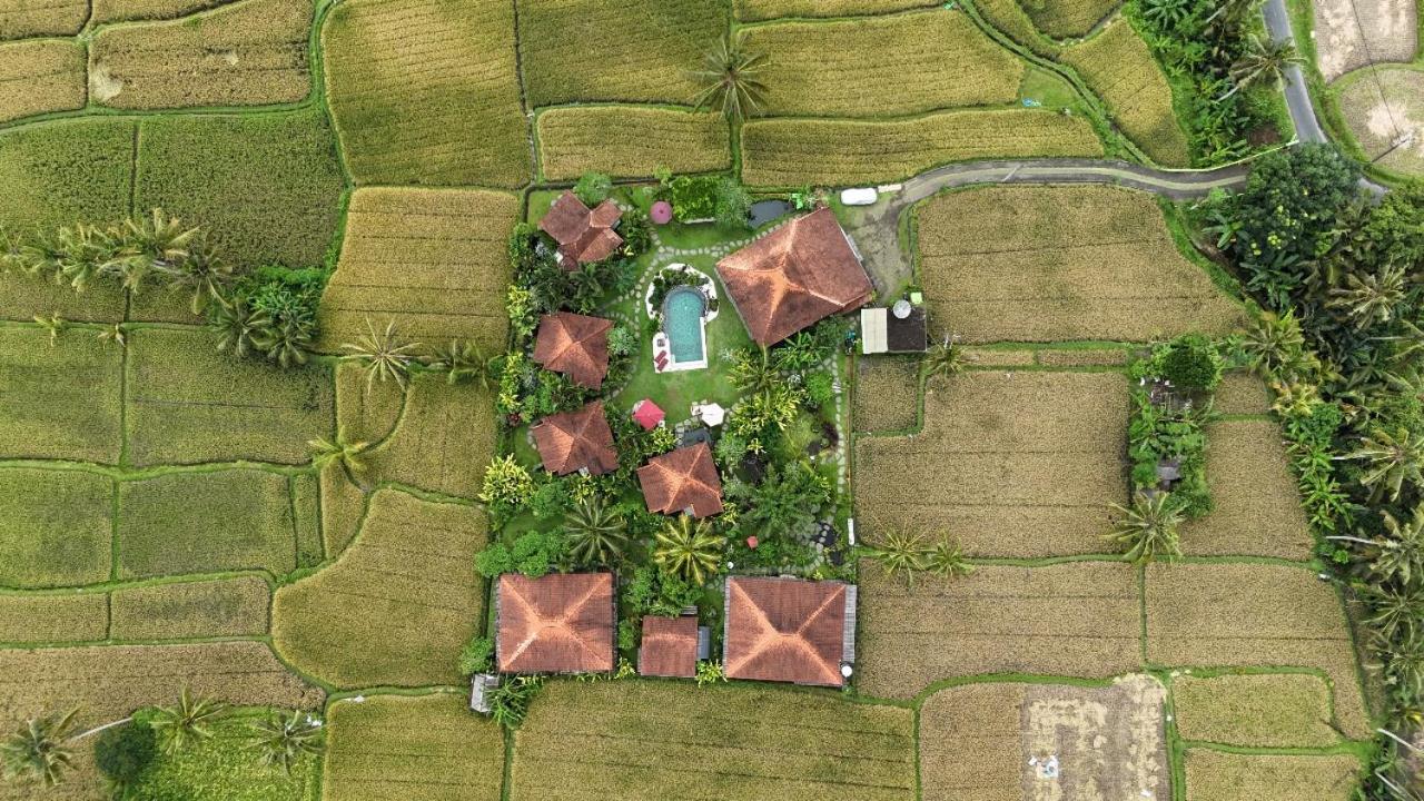 فندق Bali Sawah Indah أوبود المظهر الخارجي الصورة
