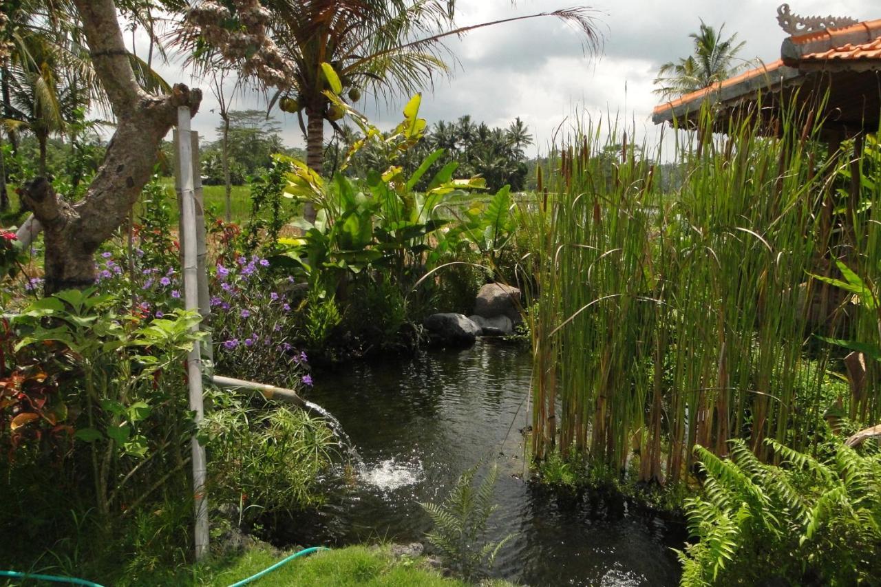 فندق Bali Sawah Indah أوبود المظهر الخارجي الصورة