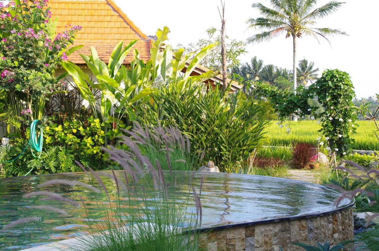فندق Bali Sawah Indah أوبود المظهر الخارجي الصورة