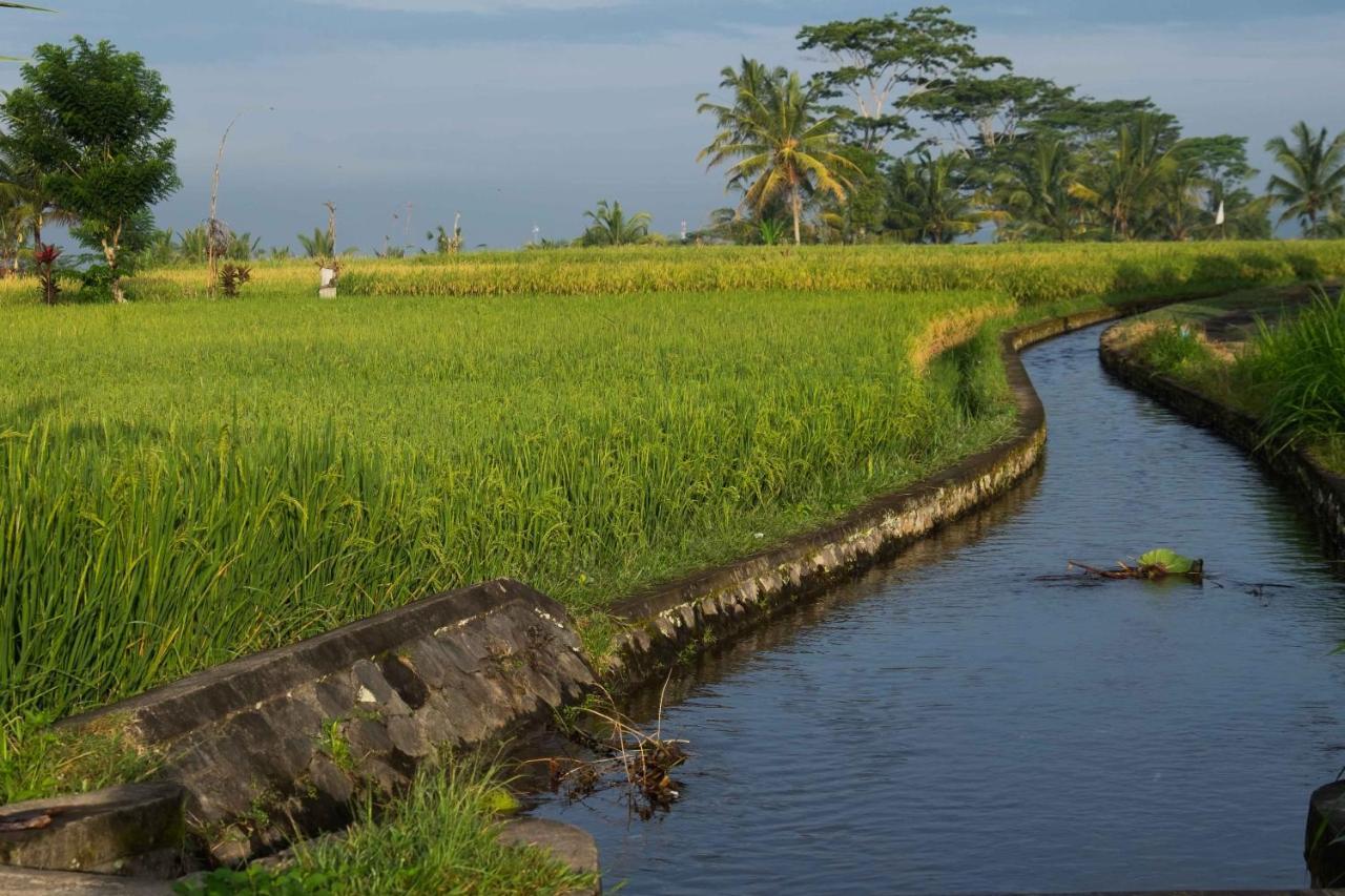 فندق Bali Sawah Indah أوبود المظهر الخارجي الصورة